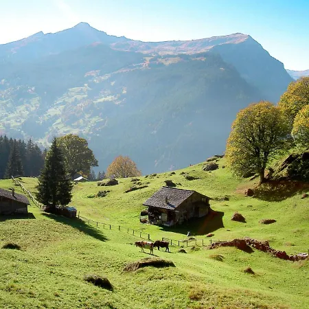 Smaragd-3 By Interhome Appartement Grindelwald