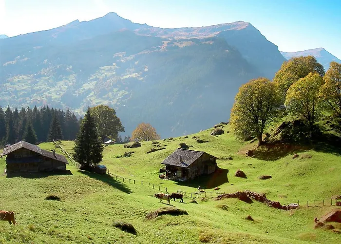 Smaragd-3 By Interhome Apartamento Grindelwald