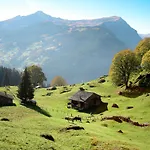 Smaragd-3 By Interhome Appartement Grindelwald